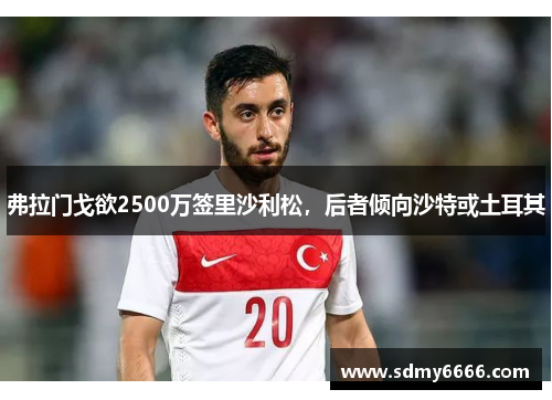 弗拉门戈欲2500万签里沙利松，后者倾向沙特或土耳其